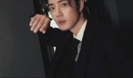 刘大锤爆料胡歌视频,揭秘明星幕后生活