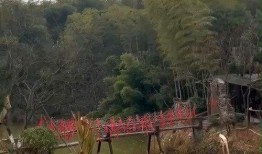 花溪新闻爆料最新视频网,视频揭秘事件真相